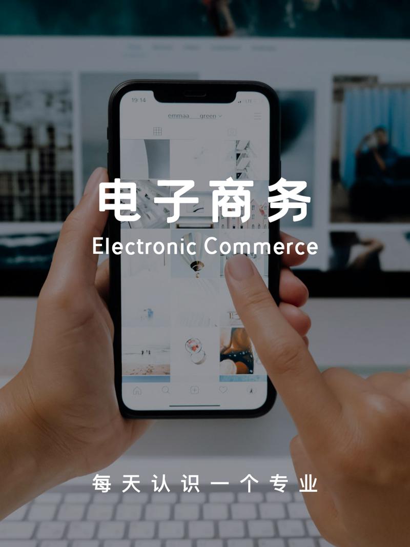 赋能与重塑 电子商务发展的全景、挑战与未来展望